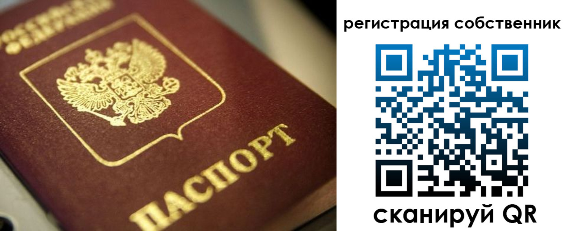 прописка в Струнино